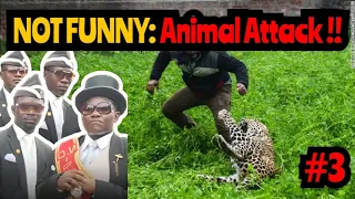 SCARY COFFIN Meme Animal Compilation #3 | Astronomia Dance Part 3