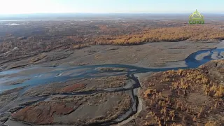 Стихи над миром. 10 ноября. "...Есть только явь и свет, ни тьмы, ни смерти нет на этом свете"