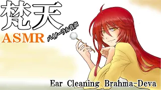 【ASMR/Binaural/No Talking】両耳同時の耳かきと、耳ふーふーで安らかな眠りを～１時間耐久/1hour～【吐息/Ear Cleaning with Ear Blowing】