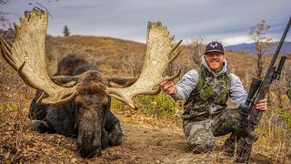 UTAH Once in a Lifetime Shiras Moose Hunt | "Grind"