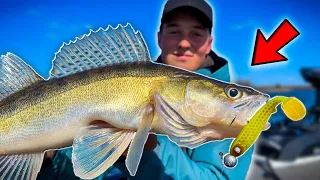 Trying Zander Fishing In Cold Water | Team Galant