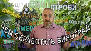 Чем обрабатывать ВИНОГРАД или какие ПРЕПАРАТЫ лучше использовать.