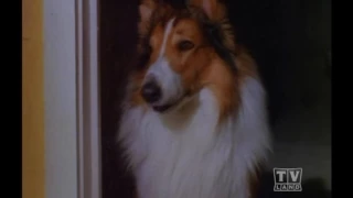 Lassie The Alone Years (Season 17 Eps 13 Any Heart in a Storm)