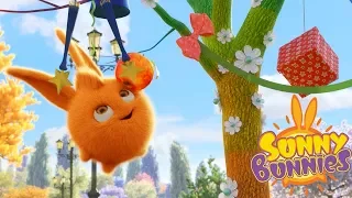 Cartoons for Children | SUNNY BUNNIES - THE MAGIC TREE | Funny Cartoons For Children