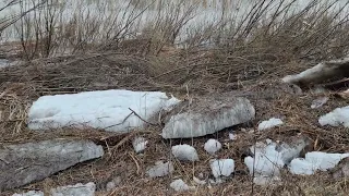 Паводок закончился и льды уплыли. Но что осталось?