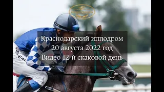 Видео 12 скаковой день   20 08 2022г  Краснодарский ипподром