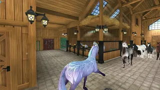 They Looking at me 😏(Star Stable)