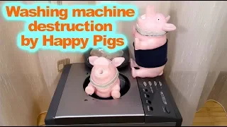 Washing machine destruction by Happy Pigs (Hotpoint toy washing machine modified)