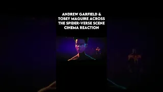 Andrew Garfield & Tobey maguire Across The spider-verse scene Cinema reaction