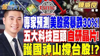 【精華】專家預測美股將暴跌30%！崩盤？技術性回檔修正 ？五大科技巨頭自研晶片！ 護國神山撐台股！？ #陳威良