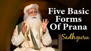 Sadhguru  Explain The 5 Basic Forms Of Prana