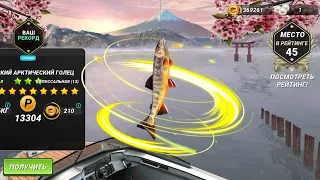 В Поиске Мирового Рекорда!!!Озеро Бива. Fishing clash, Фишинг клеш