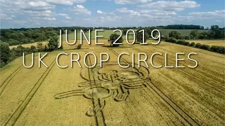 Crop Circles UK - June 2019