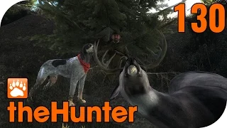 THE HUNTER #130 - Von Maultierhirschen AUSGETRICKST! 🐗 || Let's Play The Hunter || German