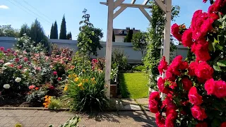 В гостях в  райском саду  Тамары🌹🌿🌲💐Новый взгляд