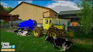 Selling Wool & Milk. Weeds Control. Spraying Fertilizer | #CourtFarm Ep.96 | Farming Simulator 22