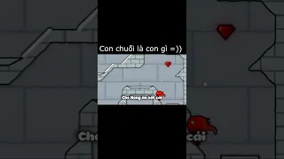 Con chuối là con gì =))