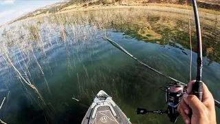 The “Derby” at Lake Berryessa