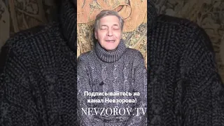 Чем уникален путин по мнению Невзорова