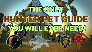 Hunter Pet Guide For World Of Warcraft Classic | Season Of Discovery