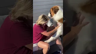 C'mon Mama Give Me Some Skin ! #shorts #funnyshorts #dogshorts #funnydogvideo #funnyvideo