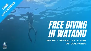 Free diving in Watamu, Kenya
