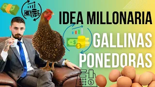 ¡Descubre cómo tener éxito con tu negocio de gallinas ponedoras!