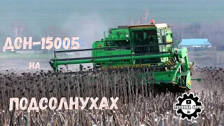 Комбайн Дон-1500Б молотит подсолнухи. Ноябрь 2022 год