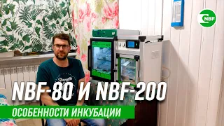 Инкубаторы NBF-80 и NBF-200. Особенности использования