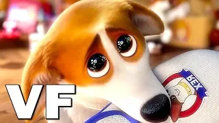 ROYAL CORGI Bande Annonce VF (Animation, 2019)