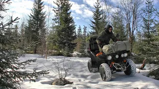 Пробился в лесное урочище, находки порадовали... #281