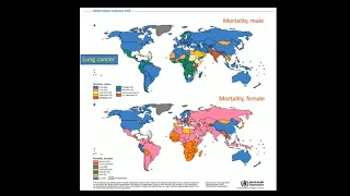 Lung Cancer, Asian Perspective