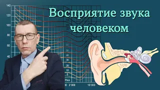 Архитектурно-строительная акустика. Восприятие звука человеком