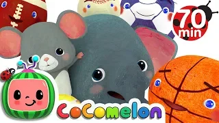 Sports Ball Song + More Nursery Rhymes & Kids Songs - CoComelon