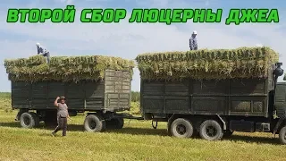 3-серия. Второй сбор тюков люцерны Джеа (28-06-2018, 3-сезон, посев 2016 год)