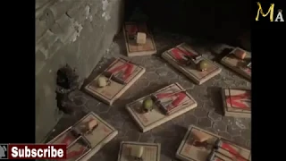 Mouse Traps Mousehunt