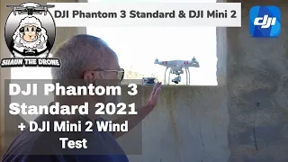 DJI Phantom 3 Standard Tutorial 2021 | Wind Test | DJI Mini 2 #shaunthedrone