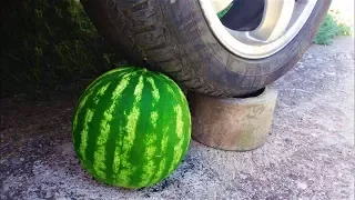 THE STRONGEST WATERMELON ON THE WORLD / NAJJAČA LUBENICA NA SVETU