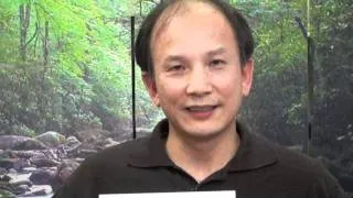 100 Days of Spring Forest Qigong - an Energy Tip from Master Chunyi Lin