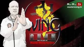 Wing Chun kung fu siu lim tao