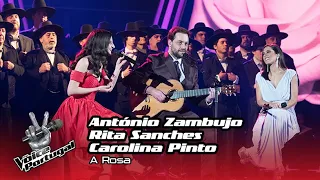 António Zambujo com Carolina Pinto & Rita Sanches - "A Rosa" | The Final | The Voice Portugal