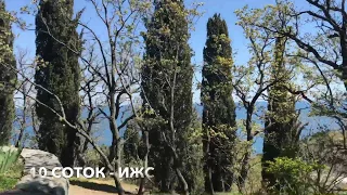 Купить земельный участок в Алупке у моря  / Крым , г. Ялта / пляж