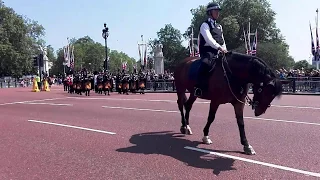 Changing of the Guard at Buckingham Palace, London, 09/06/2016