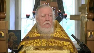 Проповедь о том, что Господь желал бы в нас видеть (2018.11.04) Протоиерей Димитрий Смирнов