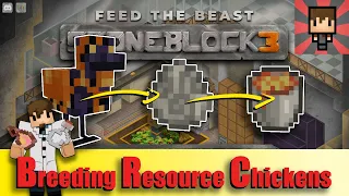 FTB STONEBLOCK 3 - How to Breed Resource Chicken / Lava Chicken EP14