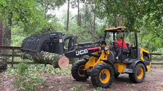 Neighbors band together to clear trees from Leon County home