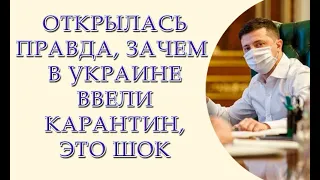 Карантин ввели, чтобы запугать людей, признание главного санитарного врача