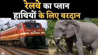 Haathi Mere Saathi: Indian Railway की ये पहल Elephant के लिए बनी बड़ी वरदान