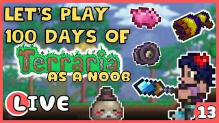 New things after last week's progress burst! Let's Play 100 Days of Terraria (as a noob) - LIVE 13