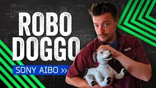 Sony Aibo Review: How Much Is That Robot In The Window?